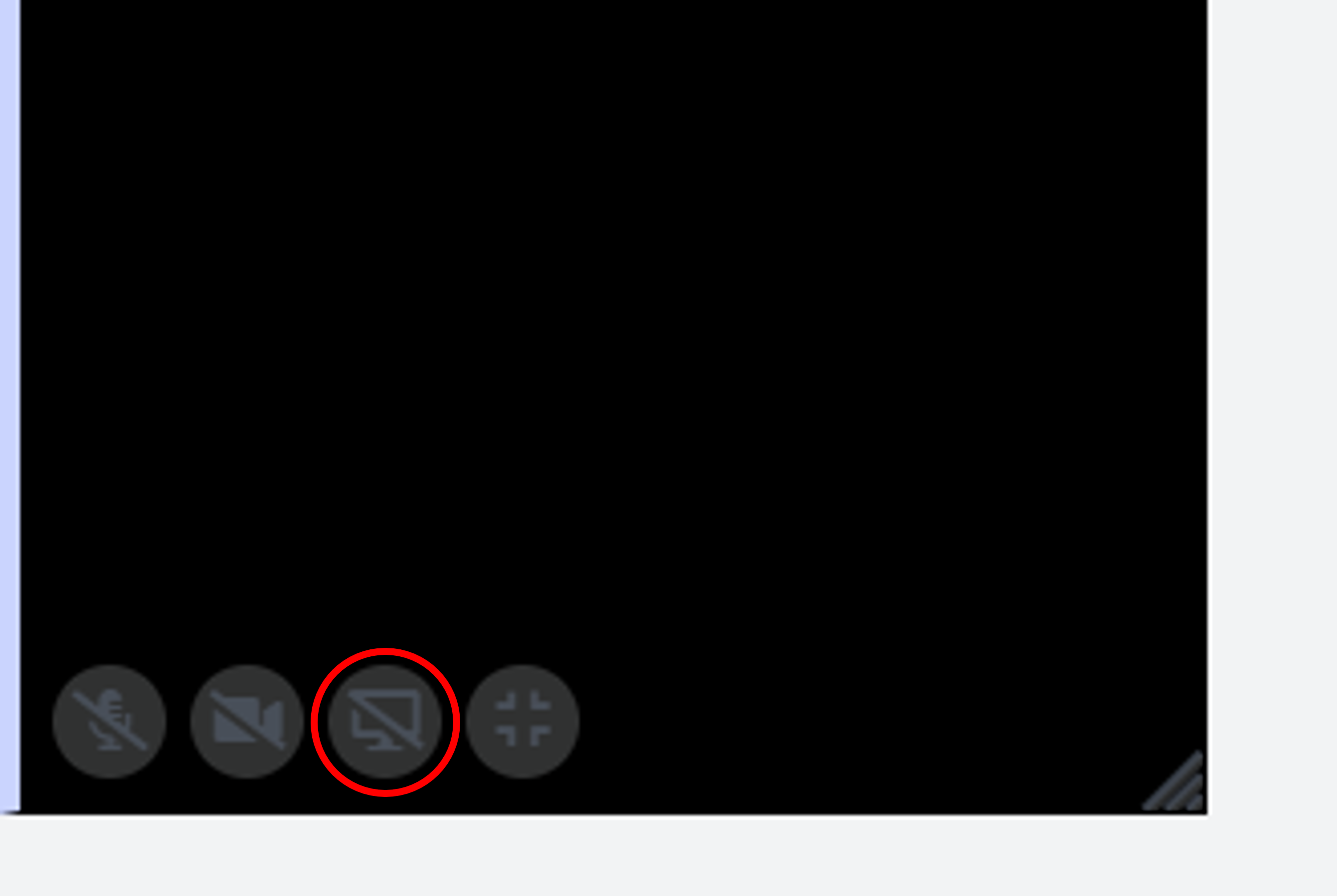 Screenshot of WCOnline video window in an online meeting with the computer icon circled